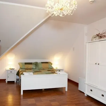 Borowik * Ostroleka (Ostroleka)