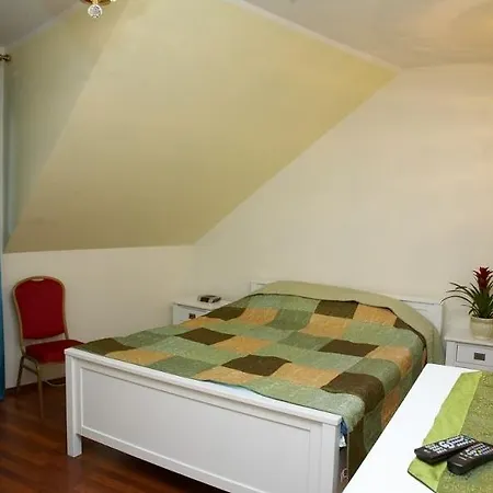 Borowik Ostroleka (Ostroleka)