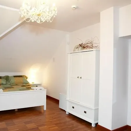 Borowik * Ostroleka (Ostroleka)