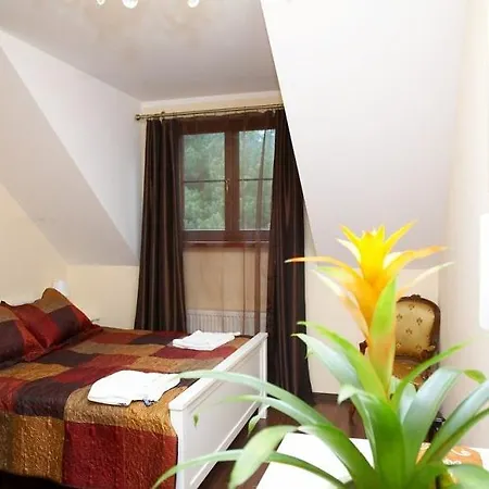 Borowik Ostroleka (Ostroleka)