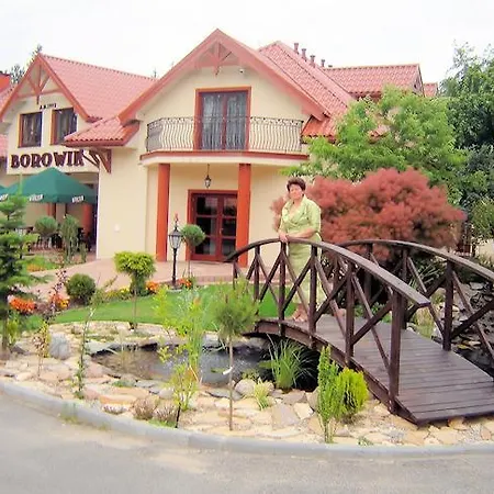Hotel Borowik