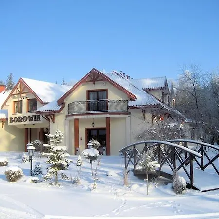 Hotel Borowik
