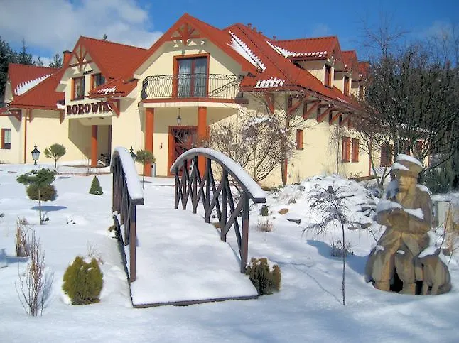 Borowik Ostroleka (Ostroleka)